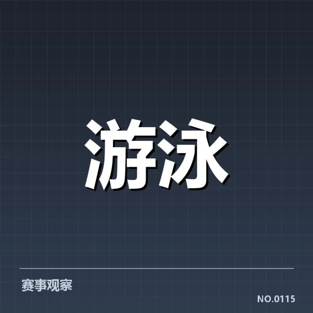全国冠军赛成绩盘点:冠军归属背后,竞争格局引发多方关注